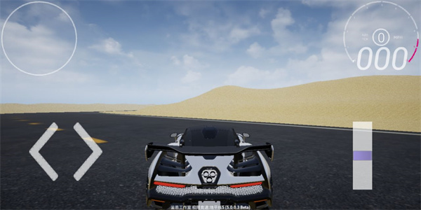 极限竞速赛车运动