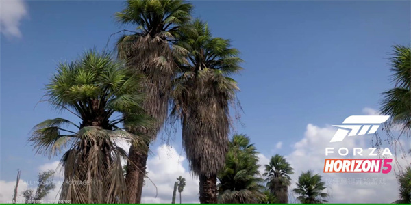 极限竞速赛车运动