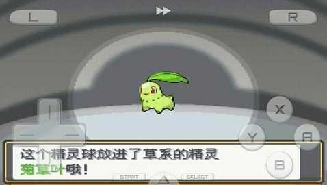 口袋妖怪起源心金