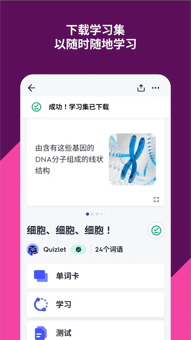 Quizlet英语