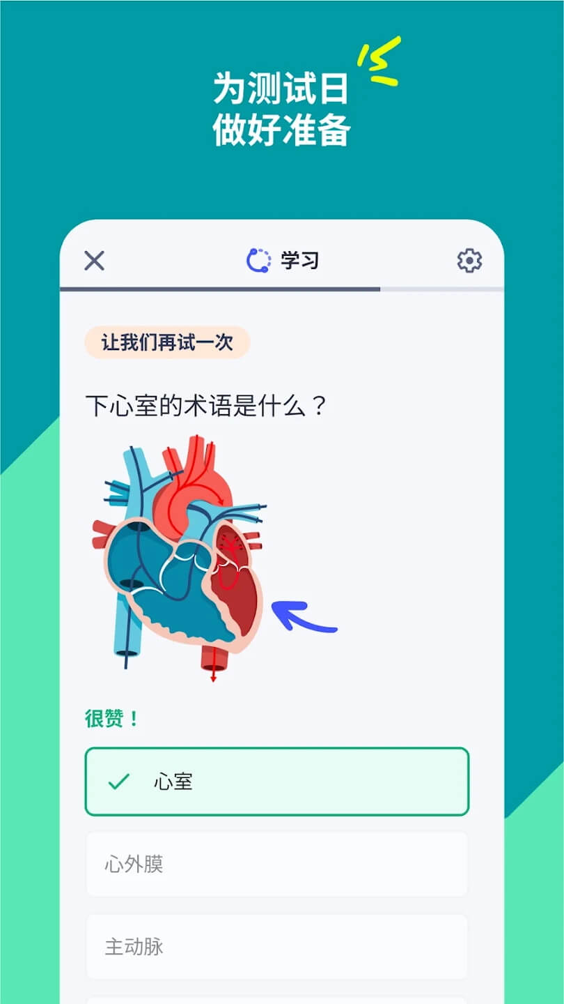 Quizlet英语