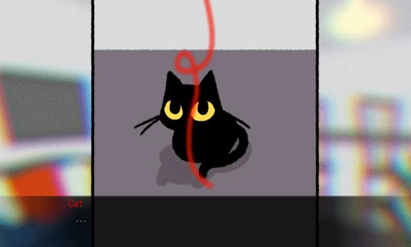 别带这只猫回家