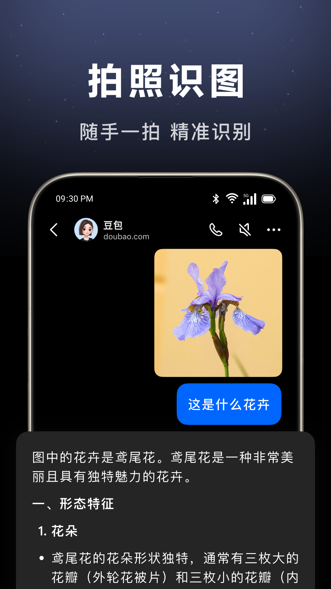 豆包APP下载安装免费官方正版