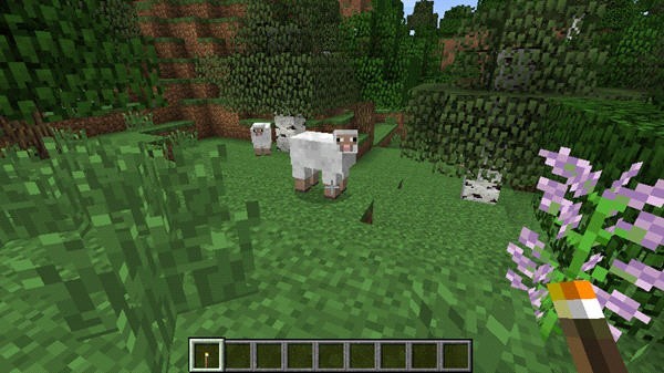 我的世界Java版1.19