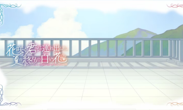 花开之你携我至夏之尽头的白花