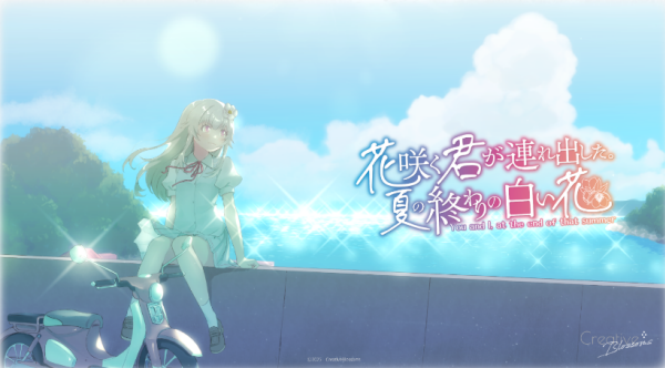 花开之你携我至夏之尽头的白花