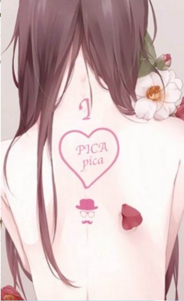 PicACG