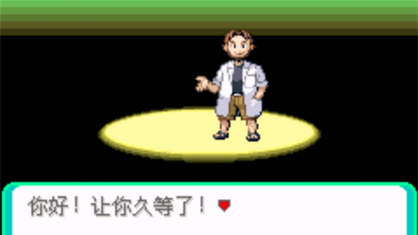 口袋妖怪日月宝石八木特别篇