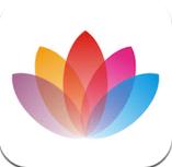 花伴侣
