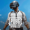 PUBG美服
