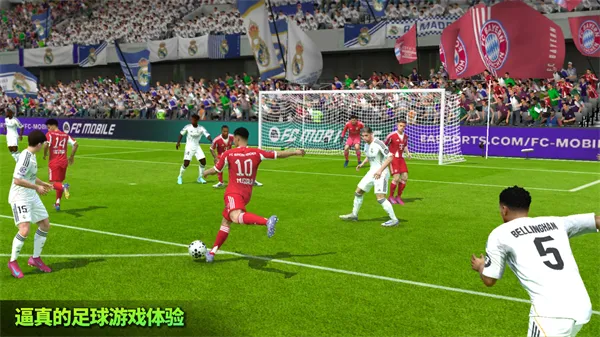FIFA 22