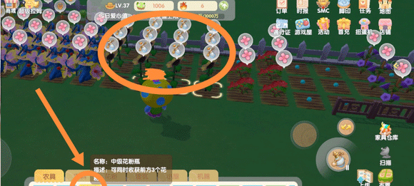 怎么种出变异植物配图2