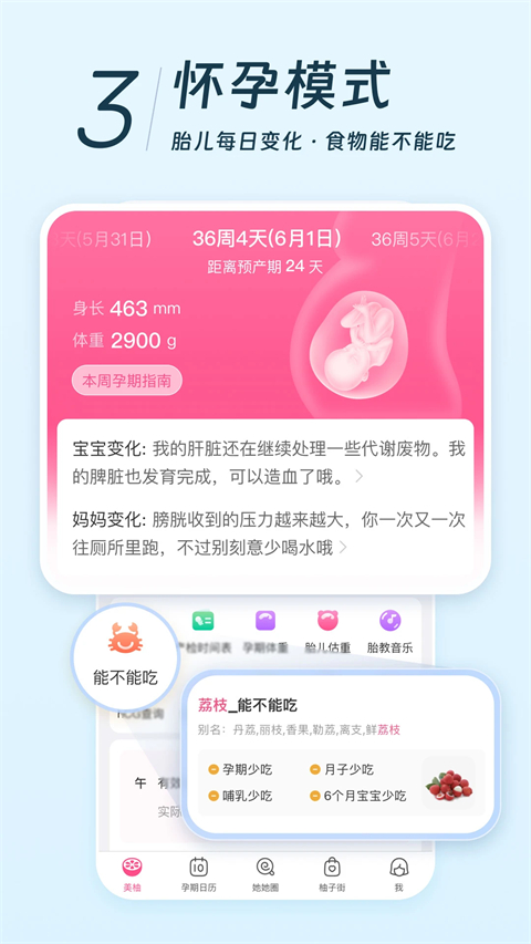 美柚记录月经软件