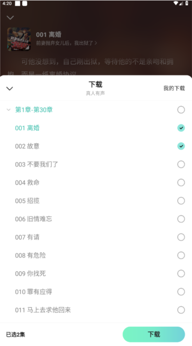下载小说有声内容配图1