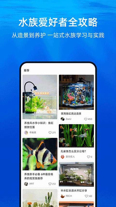 当贝鱼缸app