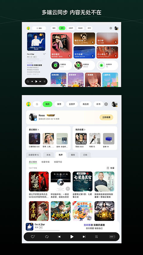 qq音乐hd版