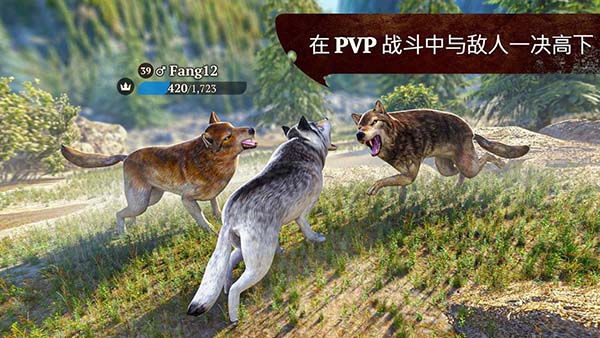 狼族官方版