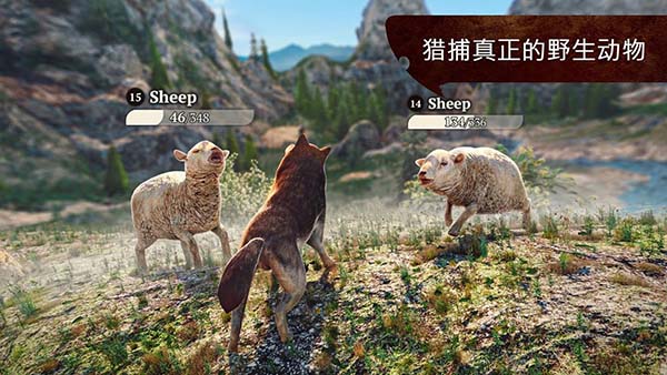 狼族官方版