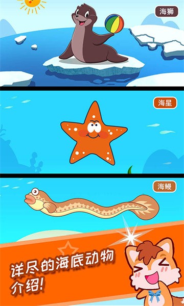 宝宝儿童海洋王国官方正版