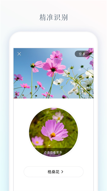 识花