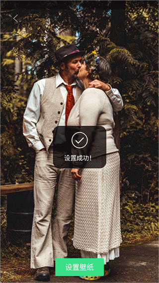 手机桌面主题app