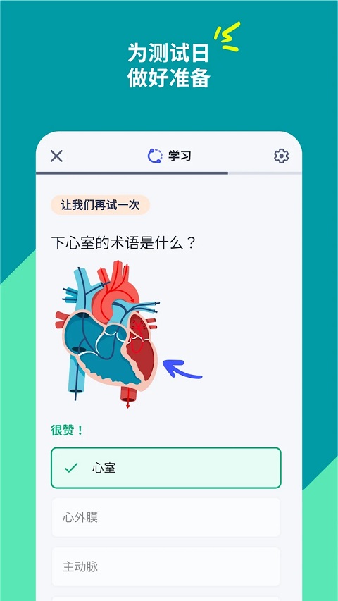 Quizlet安卓版最新版