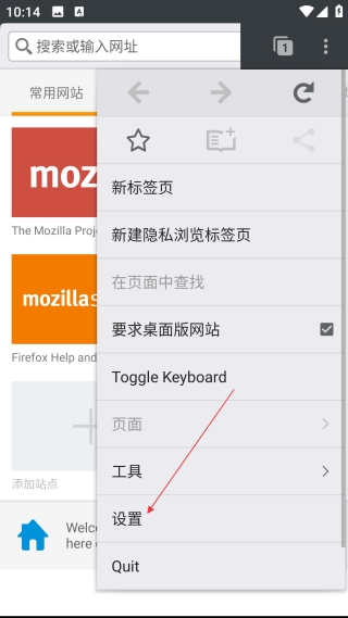 flashfox浏览器