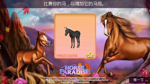 马儿天堂官方正版