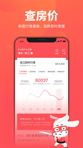 兔博士
