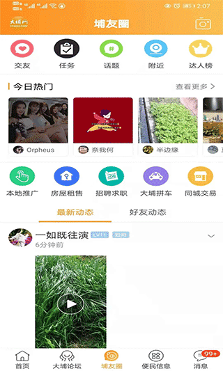 大埔网app