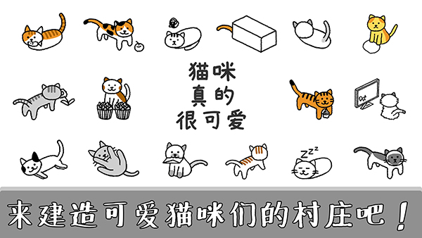 猫咪真的很可爱