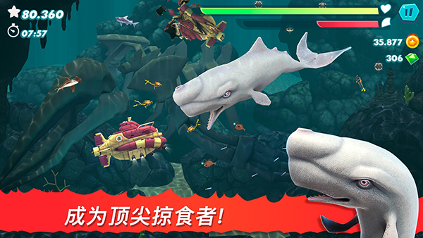 饥饿鲨进化官方正版