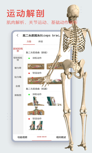 3dbody解剖app免费版