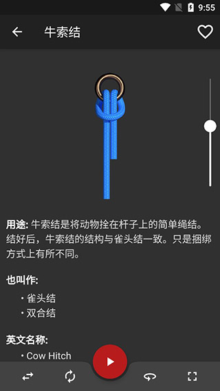Knots 3D结绳最新版
