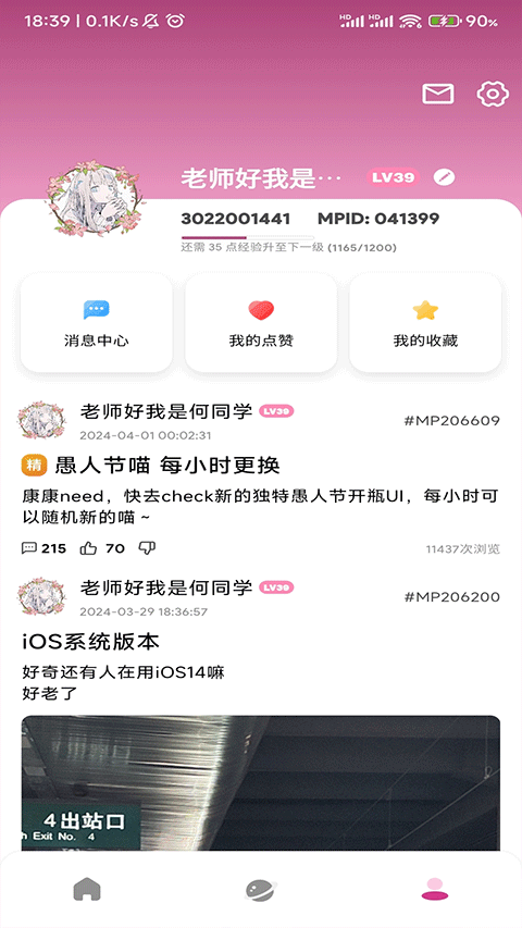 微北洋