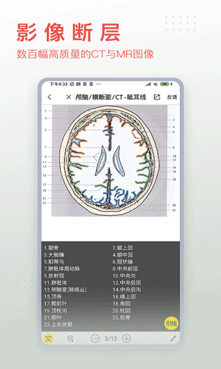 3dbody解剖app免费版