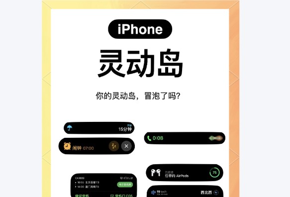 灵动岛Pro
